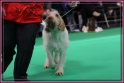 09-03-12 M GoodAsGold_IMG_9688